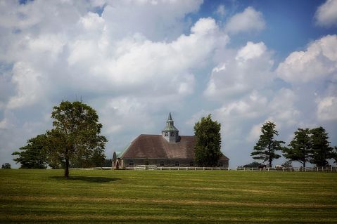 Cities with the Most Racially Motivated Crimes Against Whites