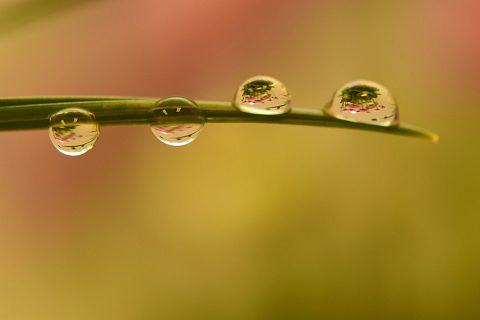 Rainiest Cities in the US in 2017