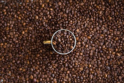 5 Best Coffee Beans for Beginners