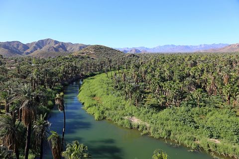 10 Best Places to Retire in Baja Mexico