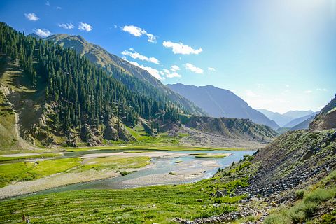  shaziafolio/Shutterstock.com