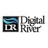 Hedge Funds Aren't Crazy About Digital River, Inc. (DRIV) Anymore