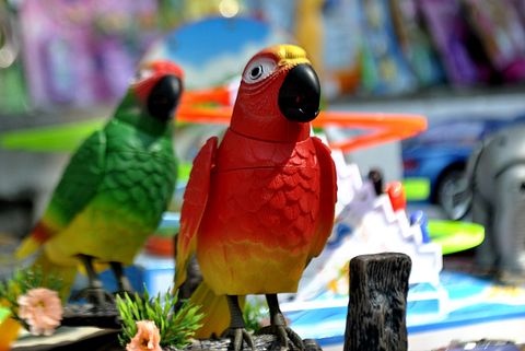 Best Toys to Buy on Amazon Under 25 Dollars