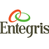 Should You Buy Entegris Inc (ENTG)?