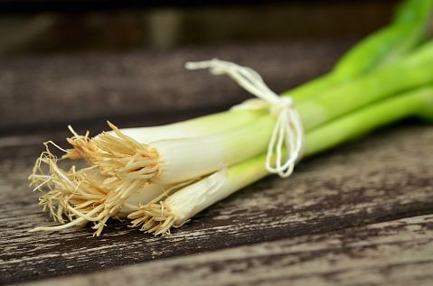Countries that Produce the Most Onion in the World