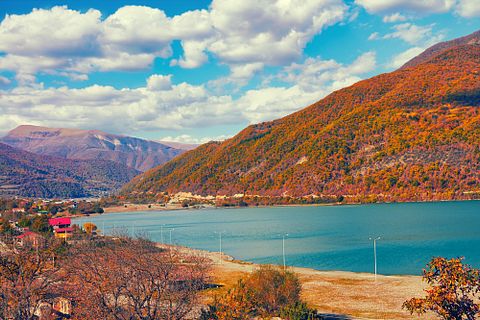 vvvita/Shutterstock.com