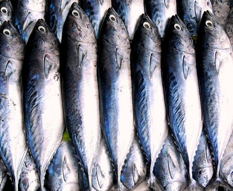 Consume fish in Finland