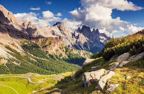 switzerland, outdoor, sunlight, meadow, wonderland, green, autumn, travel, italy, scenery, sun, season, heaven, wonderful, forest, color, tourism, background, peak, mountain