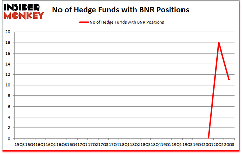 Is BNR A Good Stock To Buy?
