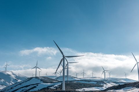 15 Best Clean Energy Stocks to Invest In