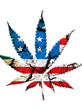 15 Cheapest Legal Weed States to Live in