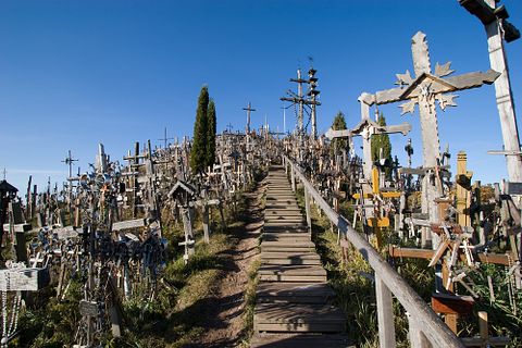 Birute Vijeikiene/Shutterstock.com