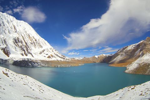 Alexandra Lande/Shutterstock.com 