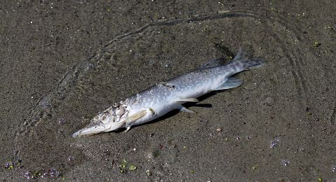 13 Most Water Polluted Countries with the Worst Pollution in the World