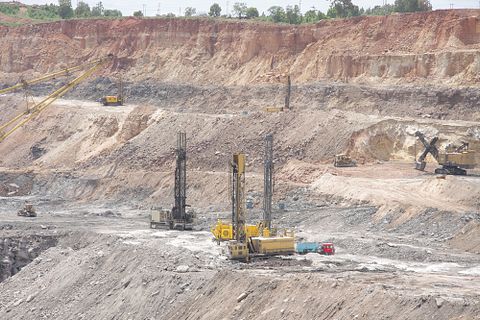 Dr Ajay Kumar Singh/Shutterstock.com 