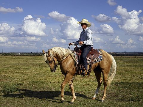 cowboy-746992_1280