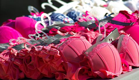 11 Most Expensive Bra Brands in the World