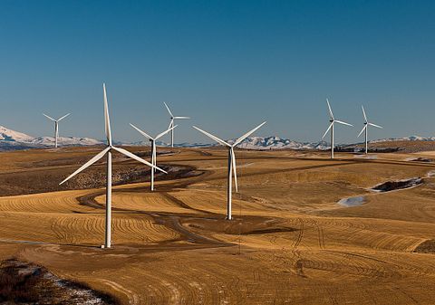 wind-farm-538576_1280