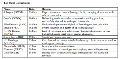 Raging Capital Investor Letter Short Positions
