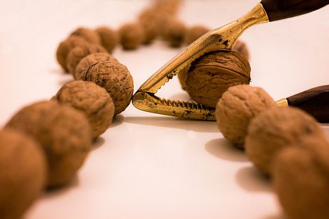 Countries that Produce the Most Walnuts in the World
