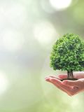 19 Green Business Ideas for Eco-Friendly Entrepreneurs