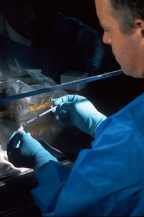 ImmunityBio (IBRX) Sheds 4% on Profit-Taking After 14-Day Run