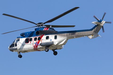 InsectWorld / Shutterstock.com