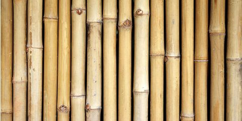 11 Most Painful Cruel Horrific Deaths and Execution Methods in History