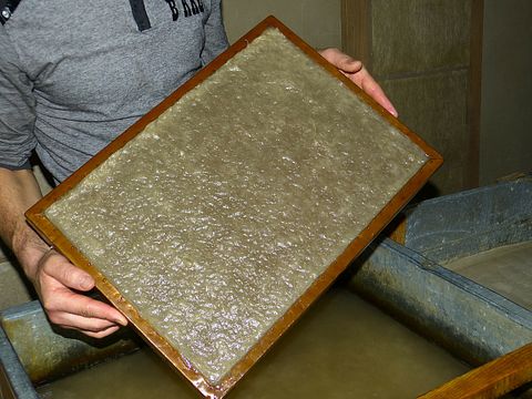 8 Countries That Produce the Most Paper in the World