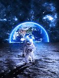 10 Reasons Why People Think the Moon Landing Was Fake
