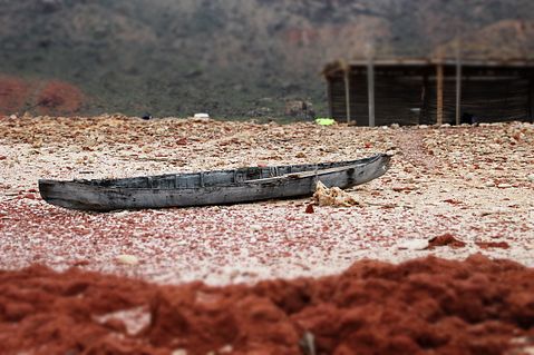  Countries with the Highest Hunger Rates 