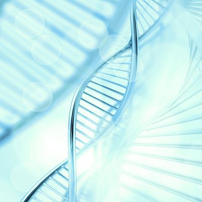 10 Affordable Biotech Stocks to Buy Right Now