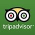 Bernstein Affirms Outperform Stance as Tripadvisor, Inc. (TRIP) Downplays Viator Spinoff Calls