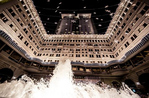  Andrey Bayda / Shutterstock.com