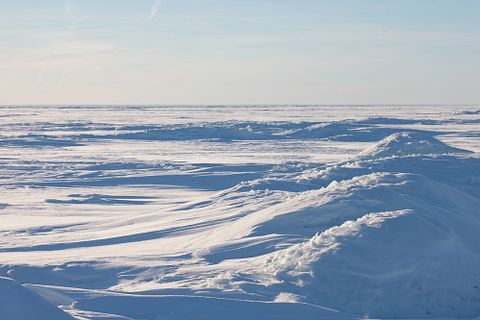 Yegor Larin/Shutterstock.com