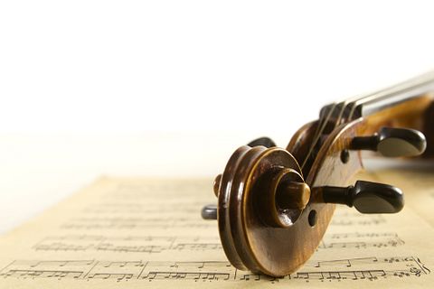 senticus/Shutterstock.com