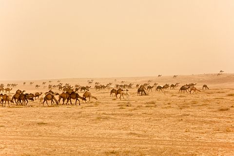 OPIS Zagreb/Shutterstock.com