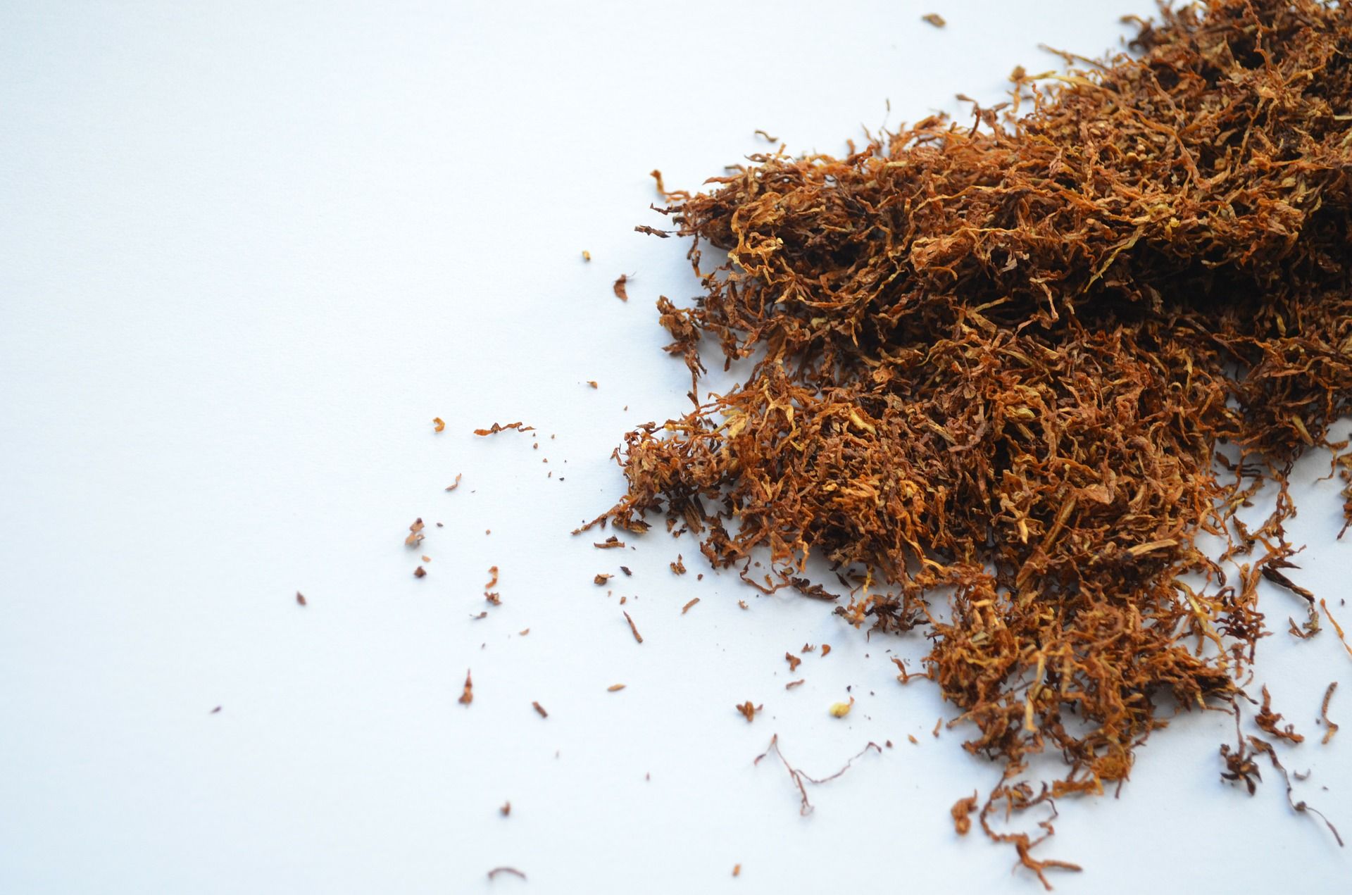 tom ford tobacco vanille vs vanille fatale Tom Ford Tobacco Vanille VS Vanille Fatale Comparison & Review