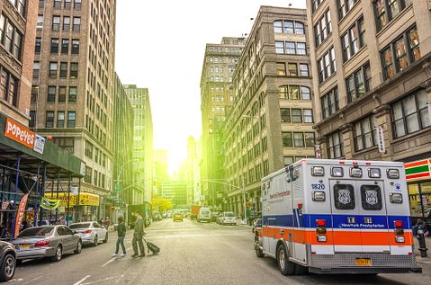 oneinchpunch / Shutterstock.com