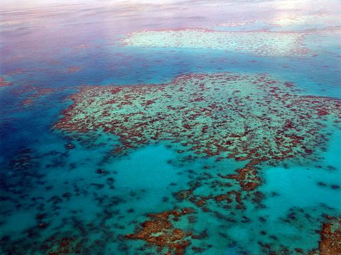 great-barrier-reef-261720_1280