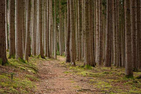 11 Best Places to Retire in Oregon