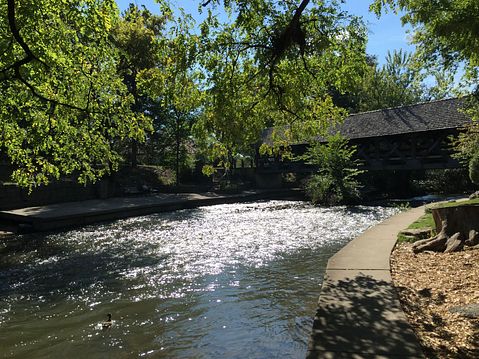 16 Best Whitetail Deer Hunting States for Big Game Hunters