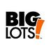 Big Lots, Inc. (BIG): Hedge Funds Are Bullish and Insiders Are Undecided, What Should You Do?
