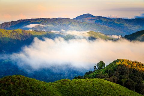Countries with Highest Rice Consumption Per Capita