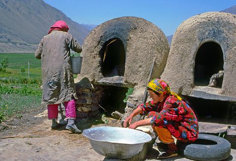 Pecold/Shutterstock.com 