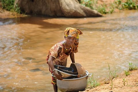 Quick Shot / Shutterstock.com