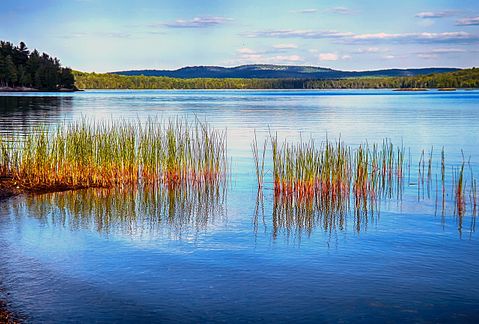 algonquin-park-790047_1280
