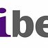 Hedge Funds Are Selling CIBER, Inc. (CBR)