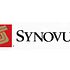 Synovus Financial Corp. (SNV) and Wells Fargo & Co (WFC) Amongst Basswood Capital’s Top Picks For Q2