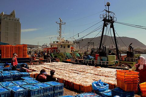 800px-BUSAN_PORT_SOUTH_KOREA_OCT_2012_(8228625371)